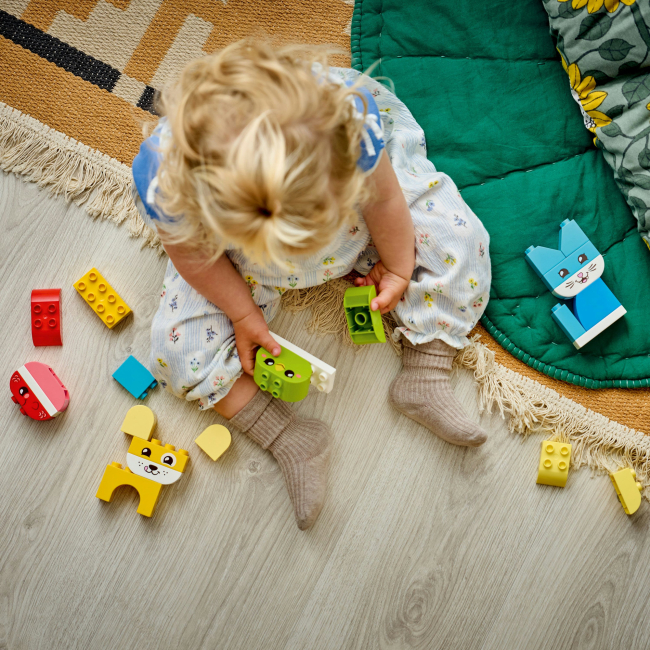 Конструкторы LEGO - Конструктор LEGO DUPLO My First Очаровательные творческие домашние питомцы 3 в 1 (10477)#5