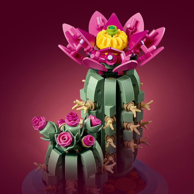 Конструктори LEGO - Конструктор LEGO Botanicals Цвітіння кактуса (11509)#6