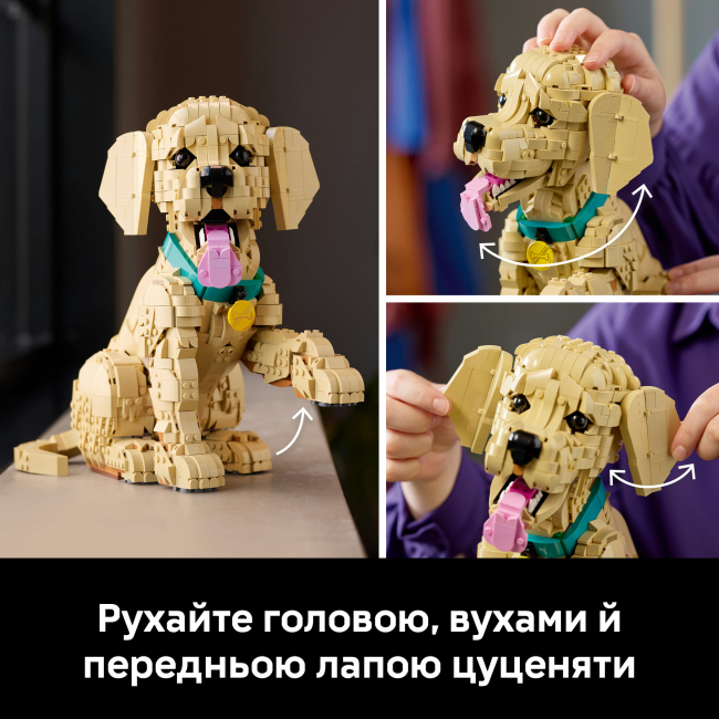 Конструктори LEGO - Конструктор LEGO Icons Цуценя золотистого ретривера (11384)#6