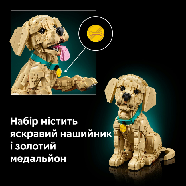 Конструктори LEGO - Конструктор LEGO Icons Цуценя золотистого ретривера (11384)#8