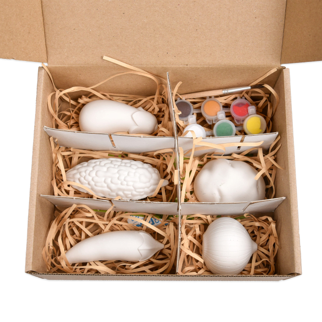 Набори для творчості - ​Набір для творчості Strateg Гіпсова розмальовка Розфарбуй овочі (31000)#4