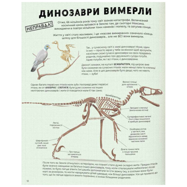 Познавательные книги (4-10 лет) - Книжка «Усе, що ти знаєш про динозаврів. — неправда!» д-р Нік Крамптон (9786178076047)#4