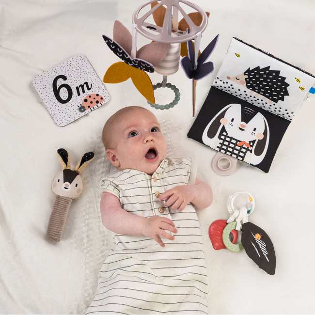 Розвивальні іграшки - Подарунковий набір Taf Toys Садочок у місті Чорно-біла гармонія (13475)#3