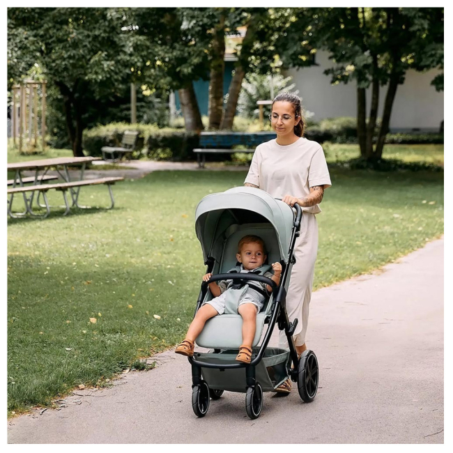 Коляски - Прогулочная коляска ABC Design Avus 2 Pine (12004992302)#7