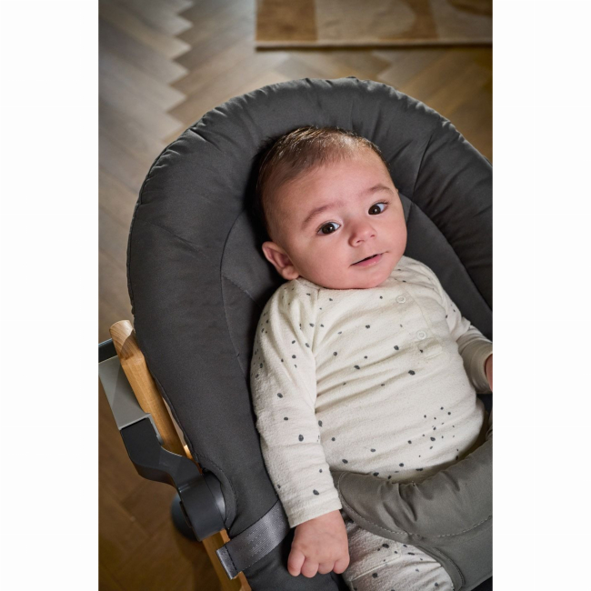 Товары по уходу - Кресло-баунсер Bebe Confort Timba Baby Mineral Graphite (2838153210)#3