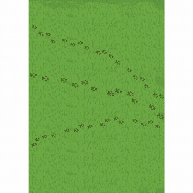 Художня література для дітей (7-13 років) - Книжка «Каллі Пустомукс. За покликом природи! Книга 2» Джулі Льойце (9786178287825)#3