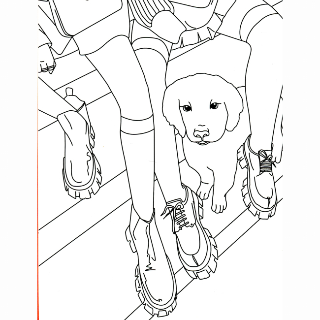 Пізнавальні книги (4-10 років) - Книга «#girls #fashion #pets» (9786177853915)#5