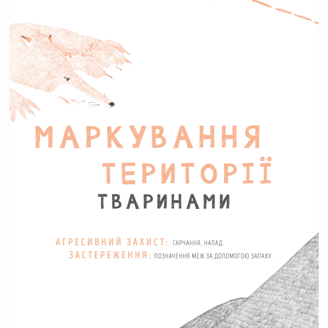 Пізнавальні книги (4-10 років) - Книжка «Мої кордони» Христина Лукащук (9786178023935)#8