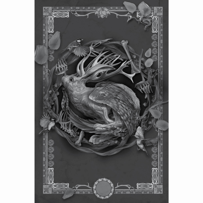 Книги для дорослих - Книжка «Некровет. Ветеринарно-некромантичні послуги. Книга 1» Ґайзлер Йоанна В. (9786178412067)#2