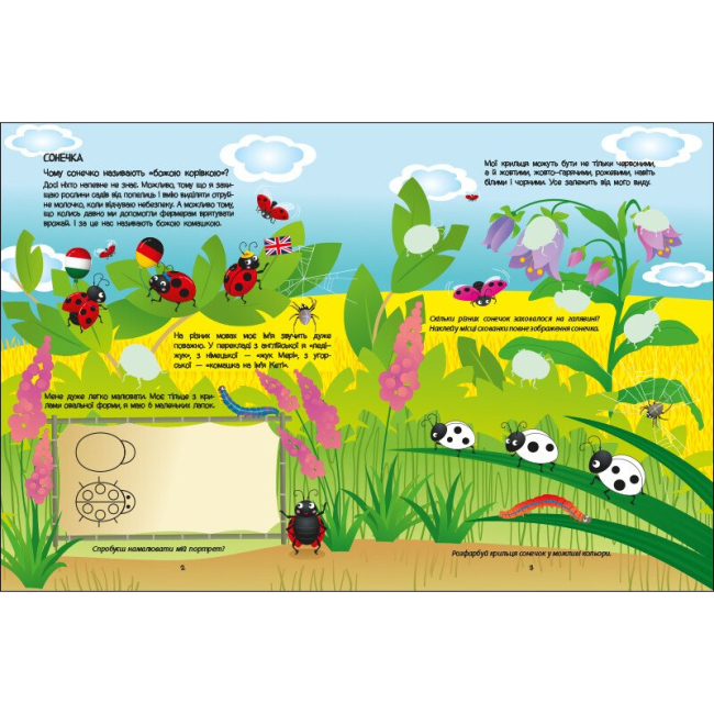 Навчальна література - ​Книжка «Розвивальні зошити. Зелена книжка про комашок» Наталія Коваль (9786170975911)#2