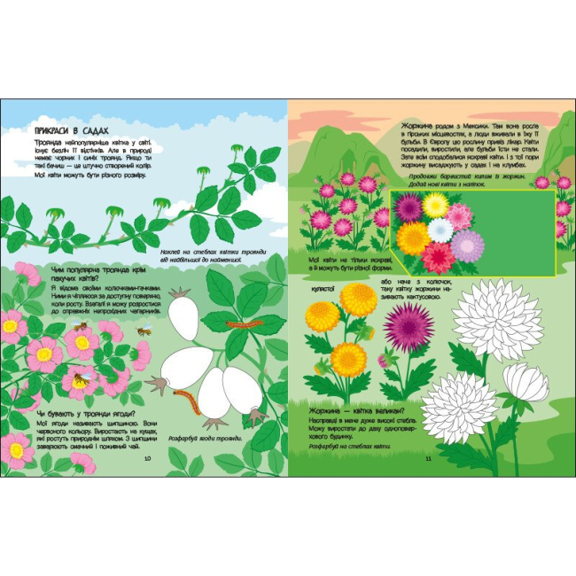 Навчальна література - ​Книжка «Розвивальні зошити. Рожева книжка про квіти» Наталія Коваль (9786170992628)#3