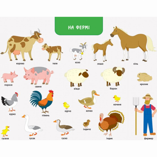 Навчальна література - ​Книжка «Ура, ми заговорили! Хто і де?»  (9786170946454)#2