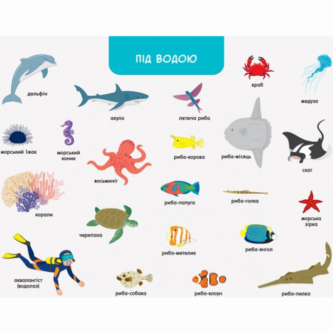 Навчальна література - ​Книжка «Ура, ми заговорили! Хто і де?»  (9786170946454)#6