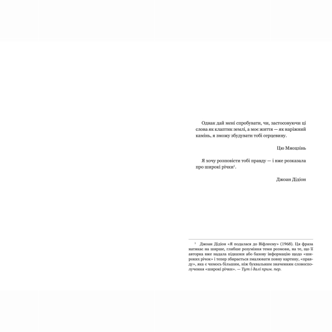 Книги для взрослых - ​Книжка «На цій Землі прекрасні ми лиш мить» Оушен Вуонґ (9786175233863)#2