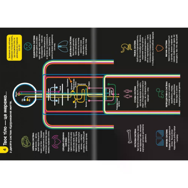 Пізнавальні книги (4-10 років) - Книжка «100 фактів про людське тіло» Алекс Фріт (9786178012090)#4