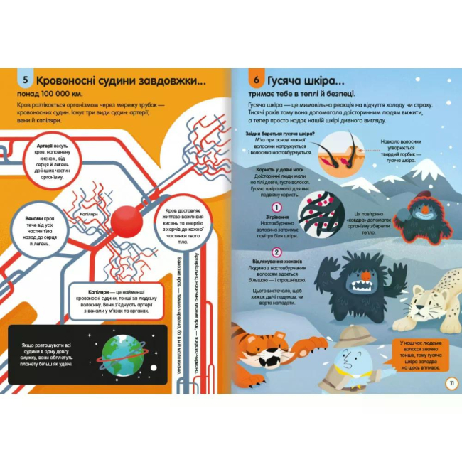 Пізнавальні книги (4-10 років) - Книжка «100 фактів про людське тіло» Алекс Фріт (9786178012090)#5