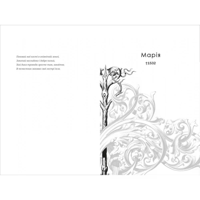 Книги для дорослих - Книжка «Поховай наші кості в опівнічній землі» В. Е. Шваб (9786178566401)#3