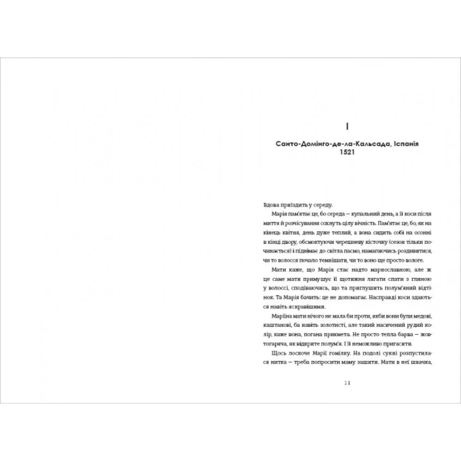 Книги для дорослих - Книжка «Поховай наші кості в опівнічній землі» В. Е. Шваб (9786178566401)#4