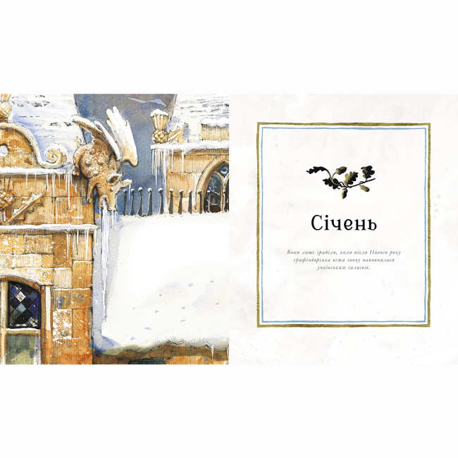 Художня література для дітей (7-13 років) - Книжка «Гаррі Поттер. Магічний рік. Велике ілюстроване видання» Джоан Ролінґ (9786175854075)#2