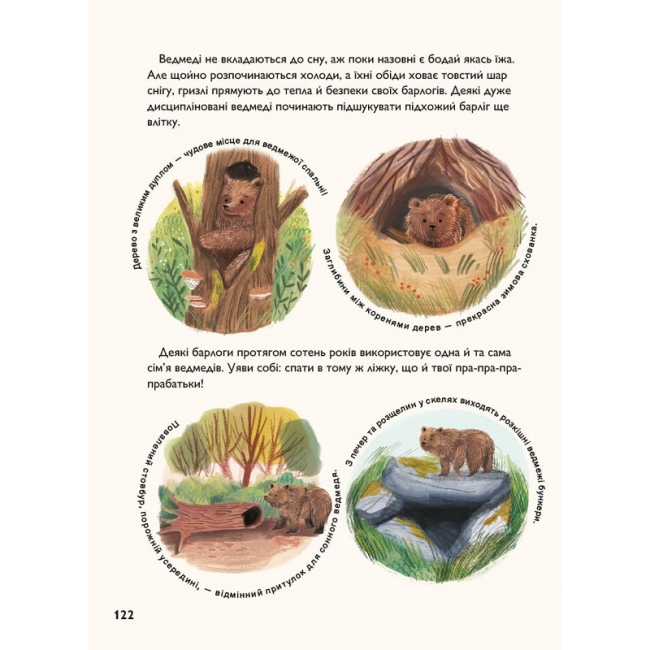 Познавательные книги (4-10 лет) - ​Книжка «Про сон перед сном» Джекі МакКенн (9786178093075)#9