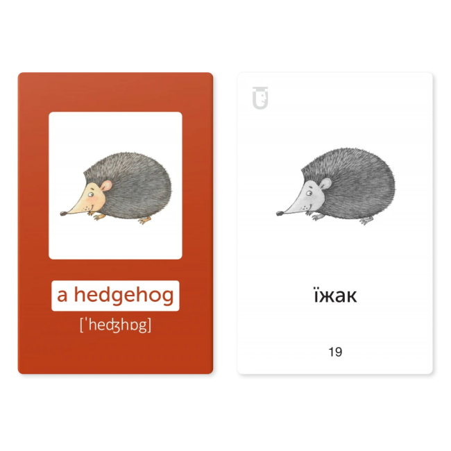 Учебная литература - Картки для вивчення англійської мови «Дикі тварини» (9786178661007)#2