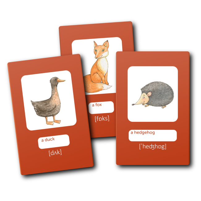 Учебная литература - Картки для вивчення англійської мови «Дикі тварини» (9786178661007)#3