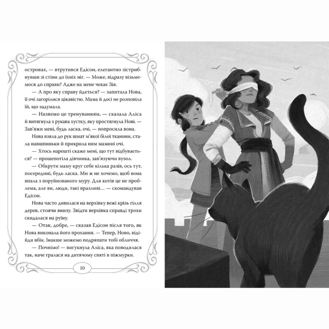 Художня література для дітей (7-13 років) - Книжка «Опівнічні Коти. Король Володарів Пір’їн. Книга 3» Барбара Лабан (9786178426217)#4