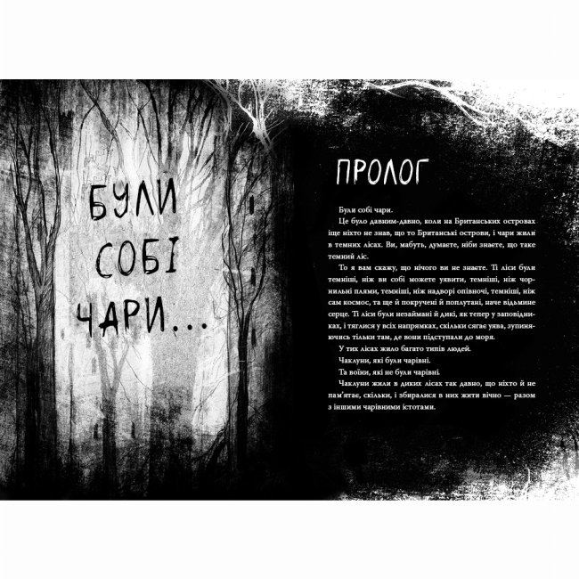 Художня література для дітей (7-13 років) - Книжка «Були собі чаклуни. Чари перші. Книга 1» Крессида Ковелл (9786178639754)#3