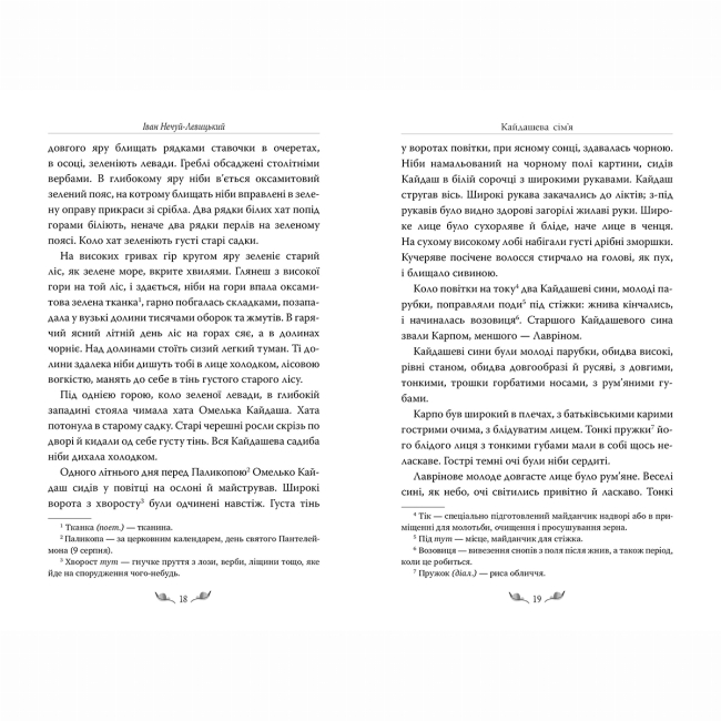 Книги для взрослых - Книжка «Кайдашева сім’я» Іван Нечуй-Левицький (9786178248765)#4