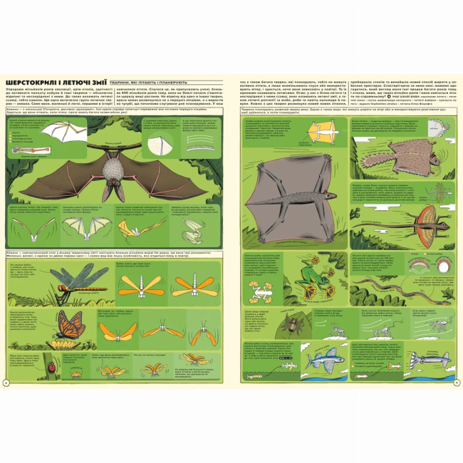 Пізнавальні книги (4-10 років) - Книжка «Але високо! Мальована історія авіації» Яцек Амброжевський (9789664484272)#2