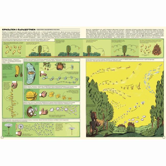 Пізнавальні книги (4-10 років) - Книжка «Але високо! Мальована історія авіації» Яцек Амброжевський (9789664484272)#3