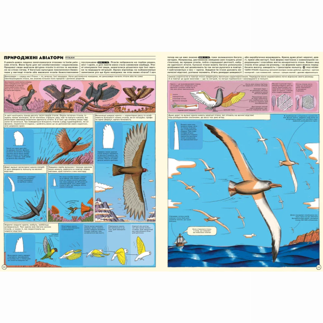 Пізнавальні книги (4-10 років) - Книжка «Але високо! Мальована історія авіації» Яцек Амброжевський (9789664484272)#4