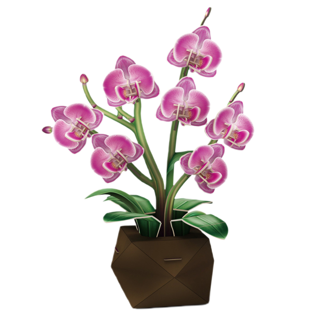 3D-пазлы - ​Трехмерный пазл CubicFun Букет цветов Орхидеи (P872h)#2