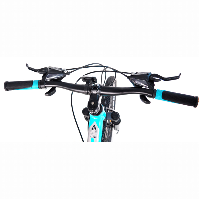 Велосипеди - Велосипед Ardis 24 МТВ AL Carter 2.0 11'' синій (3006-110-4)#4