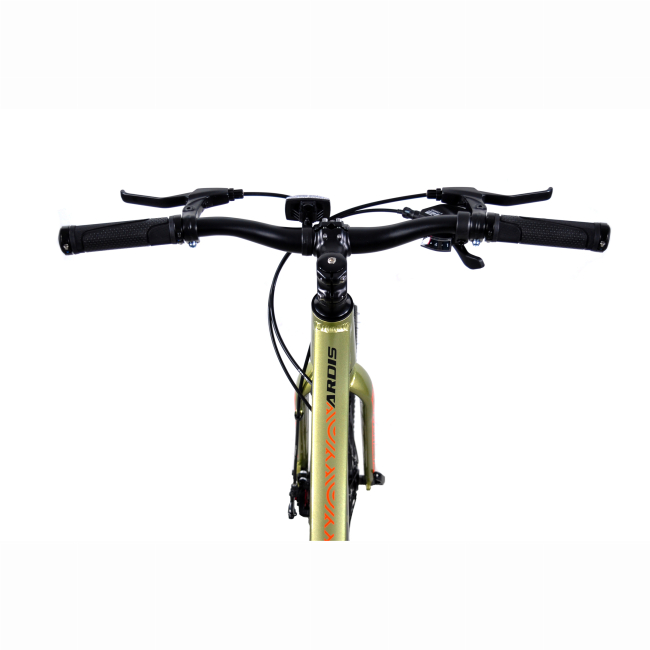 Велосипеди - Велосипед Ardis 24 МТВ AL Skif 11'' зелений (3011-110-1)#4