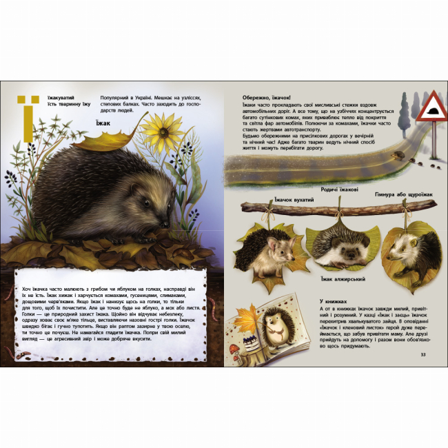 Пізнавальні книги (4-10 років) - Книжка «АРТ енциклопедія. Живий світ України» Наталія Коваль (9786170999801)#4