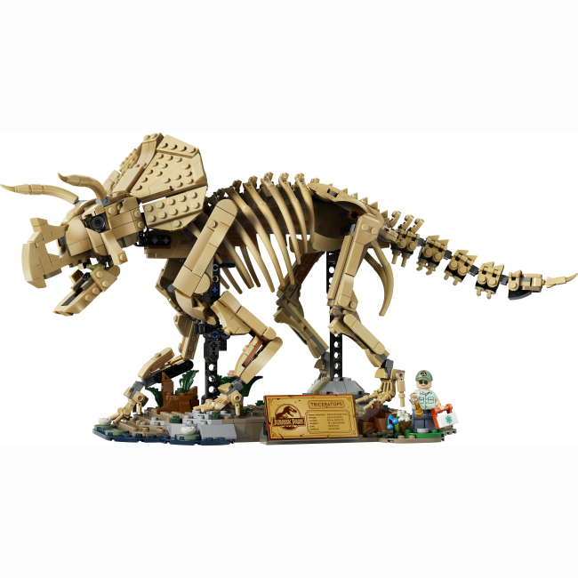 Конструкторы LEGO - Конструктор LEGO Jurassic Park Окаменелости динозавров: Трицератопс (77985)#2