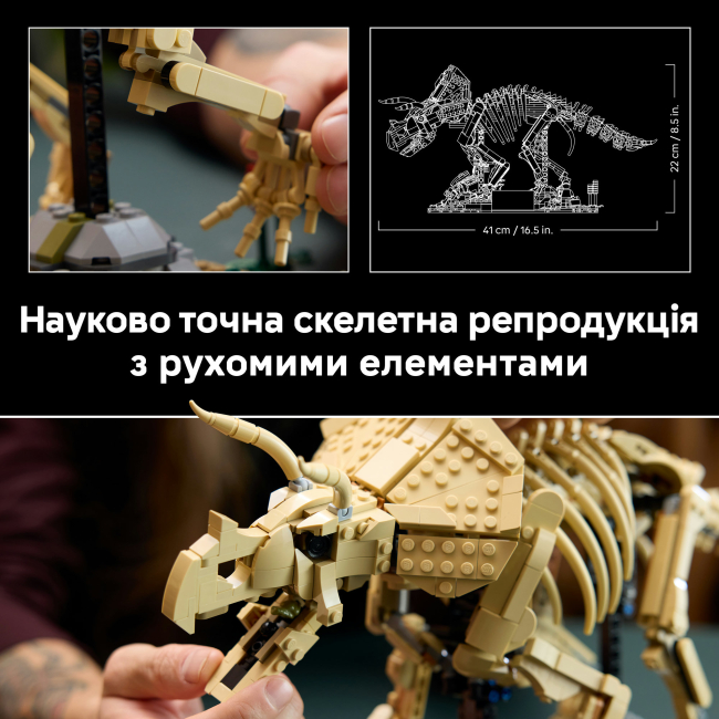 Конструкторы LEGO - Конструктор LEGO Jurassic Park Окаменелости динозавров: Трицератопс (77985)#6