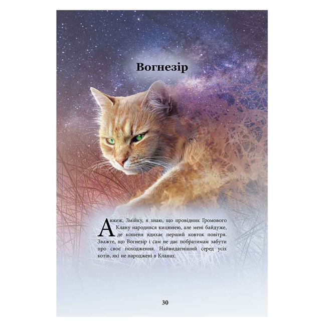 Художня література для дітей (7-13 років) - Книжка «Коти-вояки. Герої Кланів. Хроніки Зореклану» Ерін Гантер (9786178387907)#4