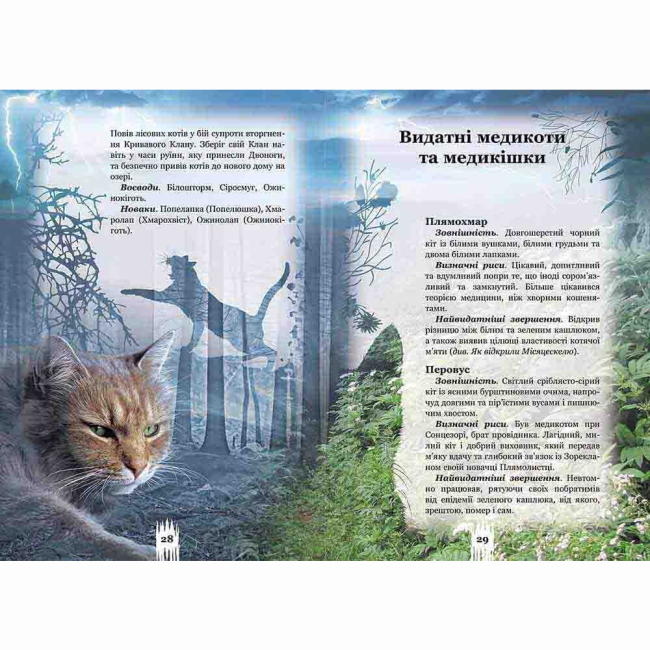 Художественная литература для детей (7-13 лет) - Книжка «Коти-вояки. Таємниці Кланів. Путівник по серії» Ерін Гантер (9786177660278)#2