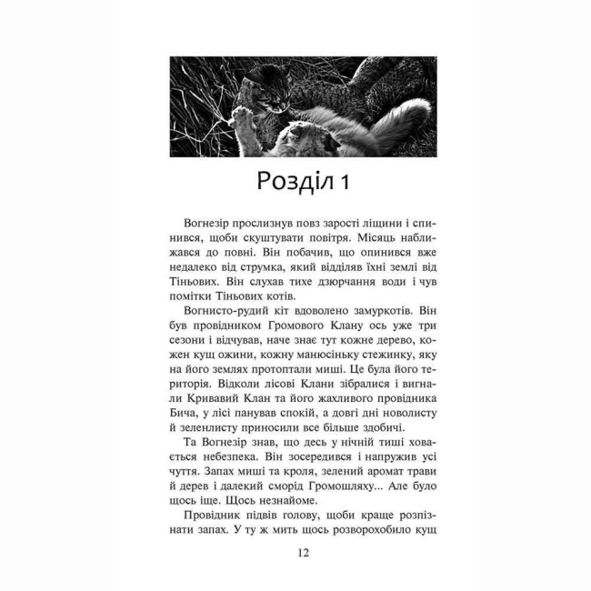 Художественная литература для детей (7-13 лет) - Книжка «Коти-вояки. Шлях Вогнезора. Спеціальне видання» Ерін Гантер (9786177385454)#2