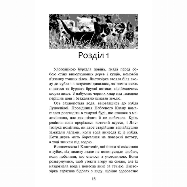 Художественная литература для детей (7-13 лет) - Книжка «Коти-вояки. Доля Небесного Клану. Спеціальне видання» Ерін Гантер (9786178229399)#2