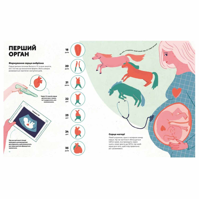 Познавательные книги (4-10 лет) - ​Книжка «Серце. Історія, наука і багато любові» Ноемі Фабра (9789664485507)#3